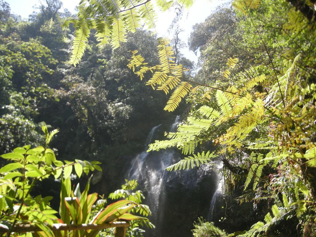 Posada Ammi Cuetzalan Luaran gambar