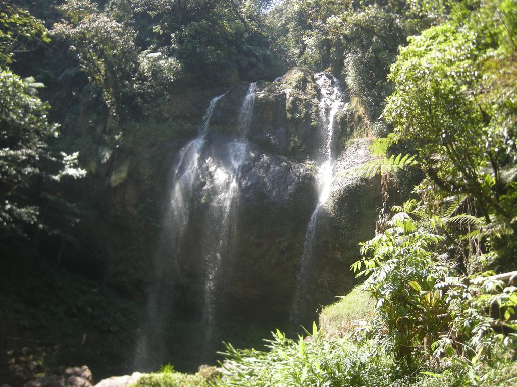 Posada Ammi Cuetzalan Luaran gambar